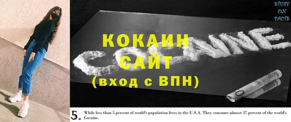 винт Горняк