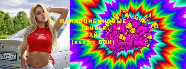 спайс Горно-Алтайск