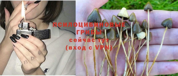 марки lsd Горнозаводск