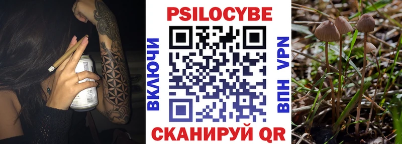 Псилоцибиновые грибы MAGIC MUSHROOMS даркнет наркотические препараты Москва